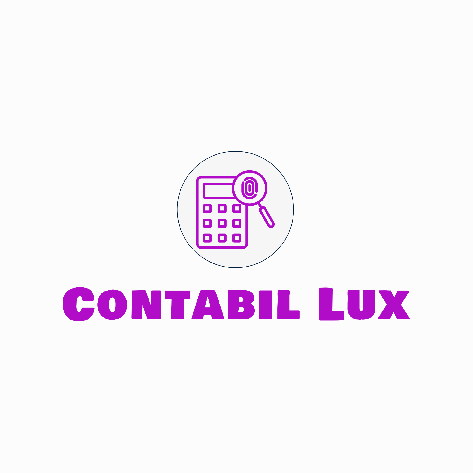 Contabil Lux
